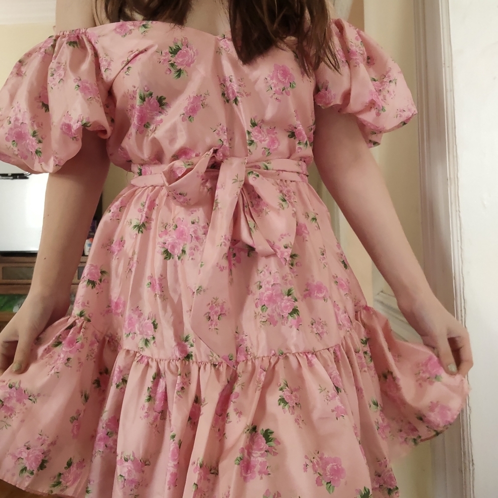 Love shack fancy X Target pink floral dress
